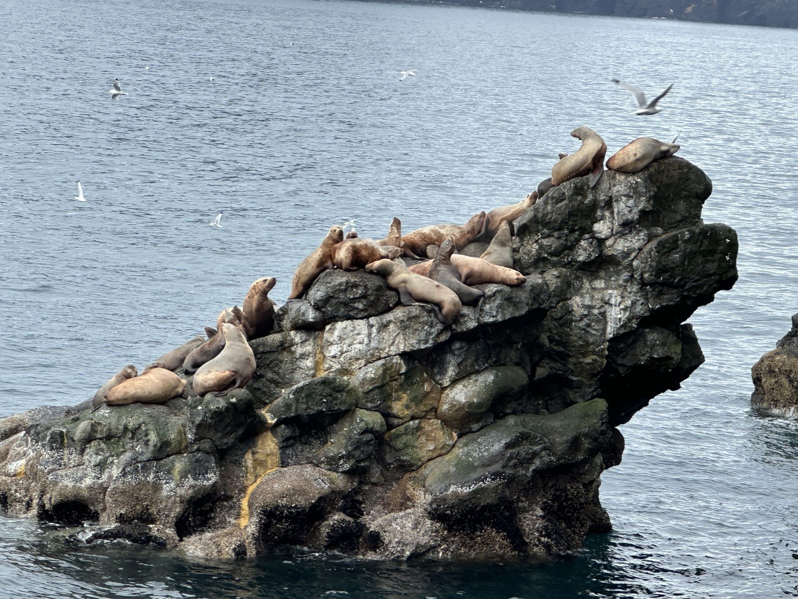 Alaska photo 2