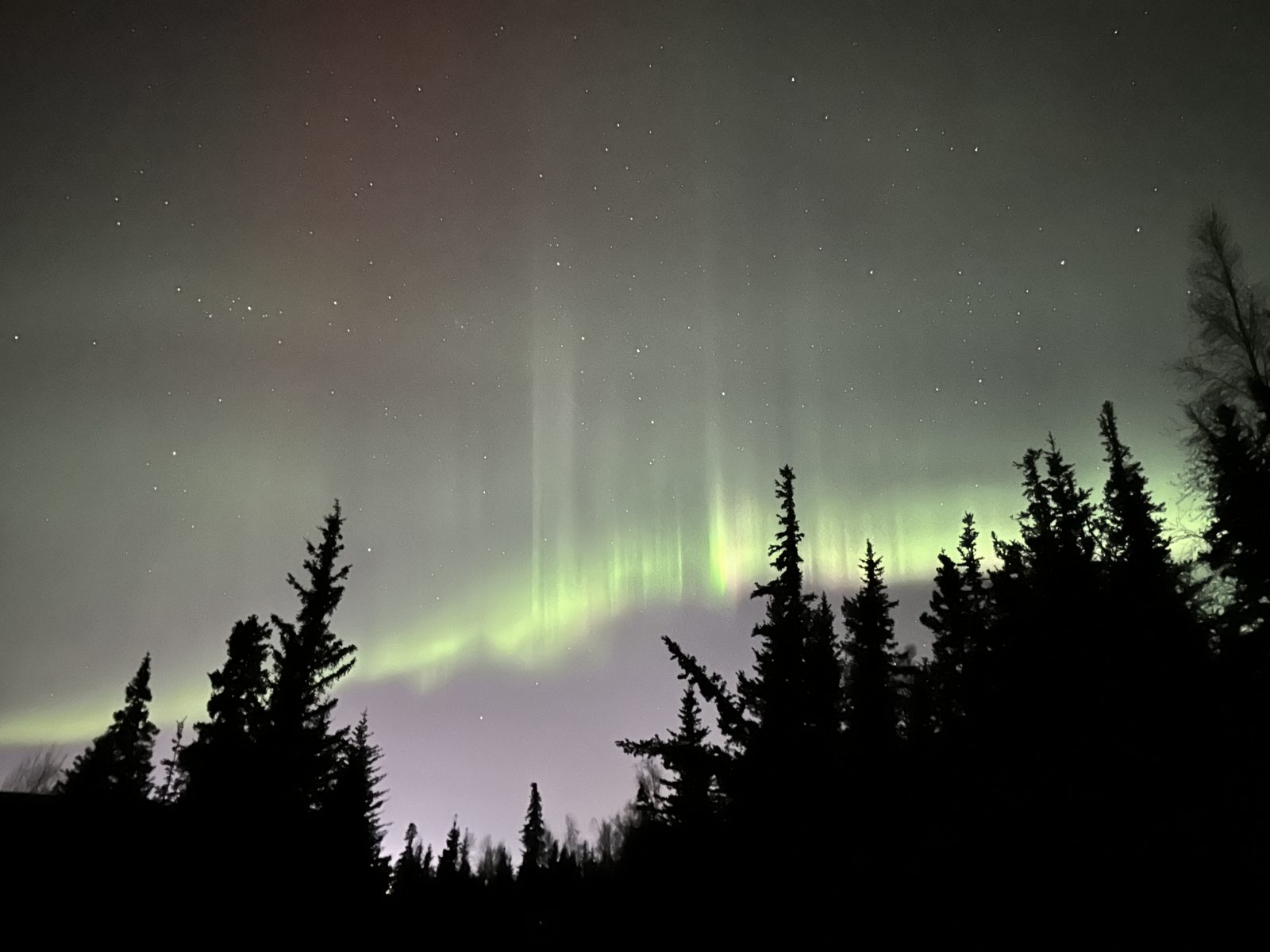 Alaska photo 4