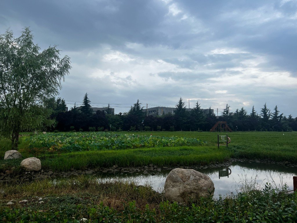 Back Home — China photo 2
