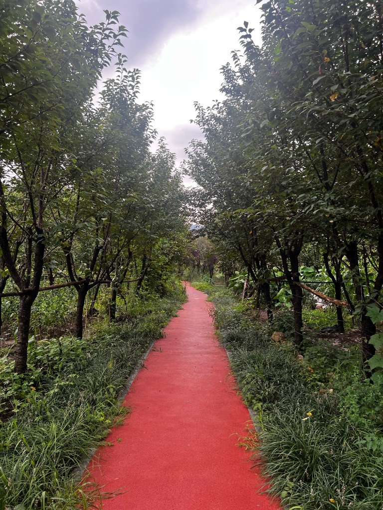 Back Home — China photo 3