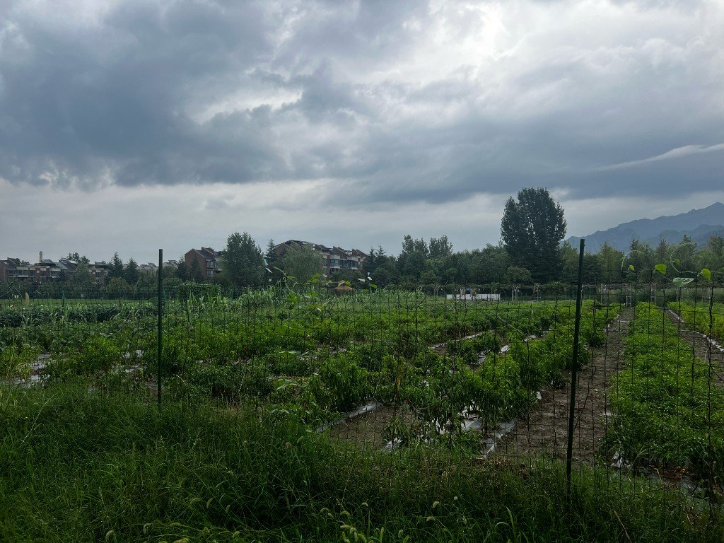 Back Home — China photo 4