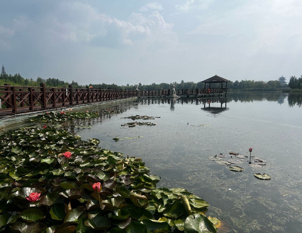 Back Home — China photo 6