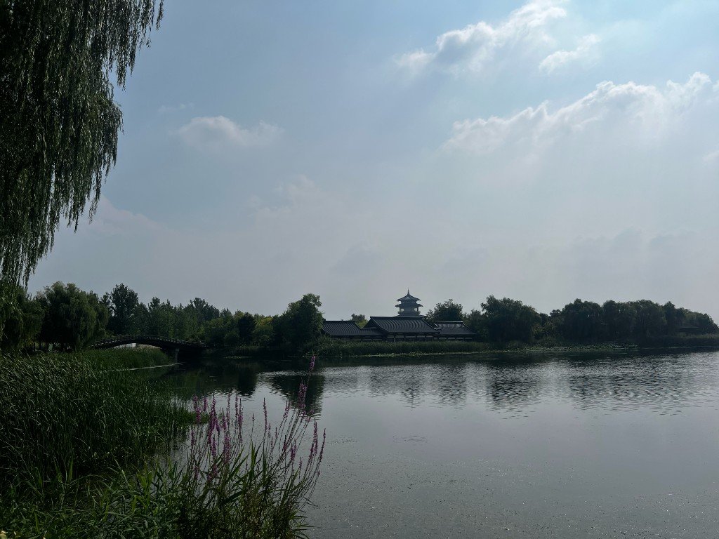 Back Home — China photo 7