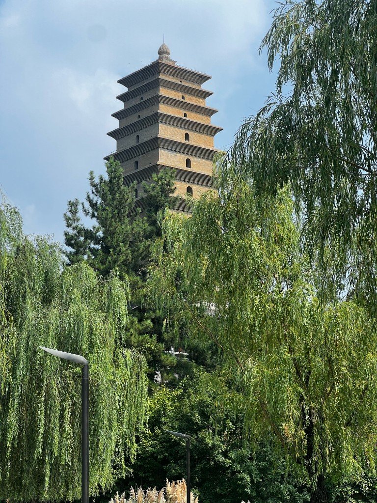 Back Home — China photo 8