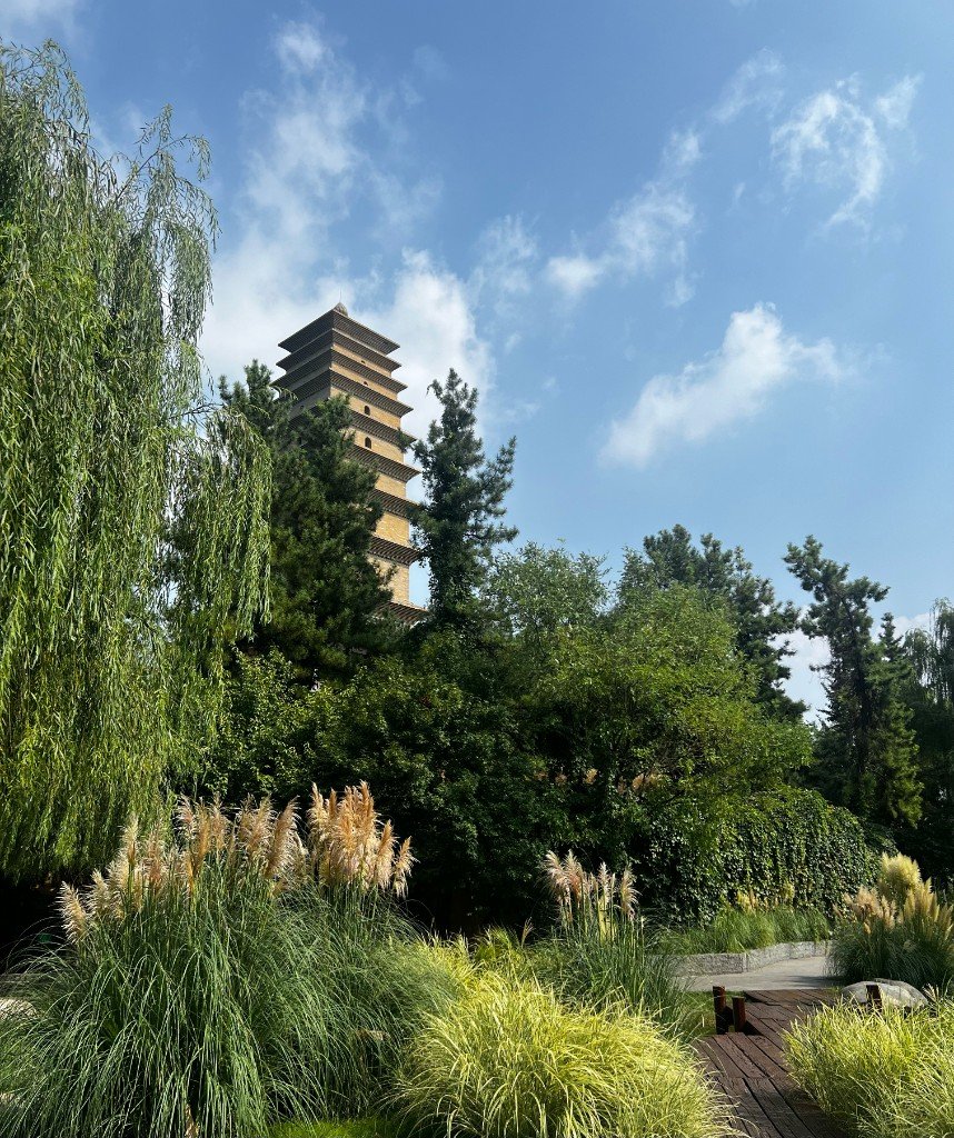 Back Home — China photo 9