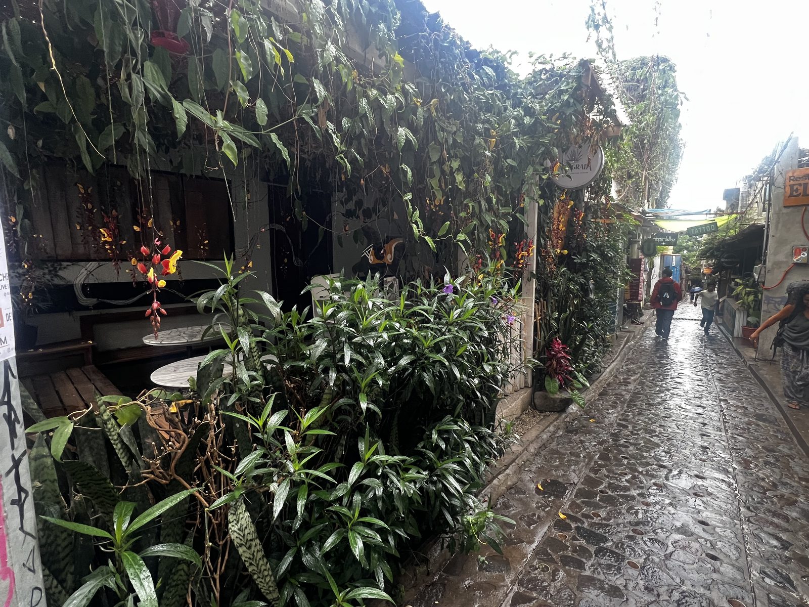 Guatemala photo 6