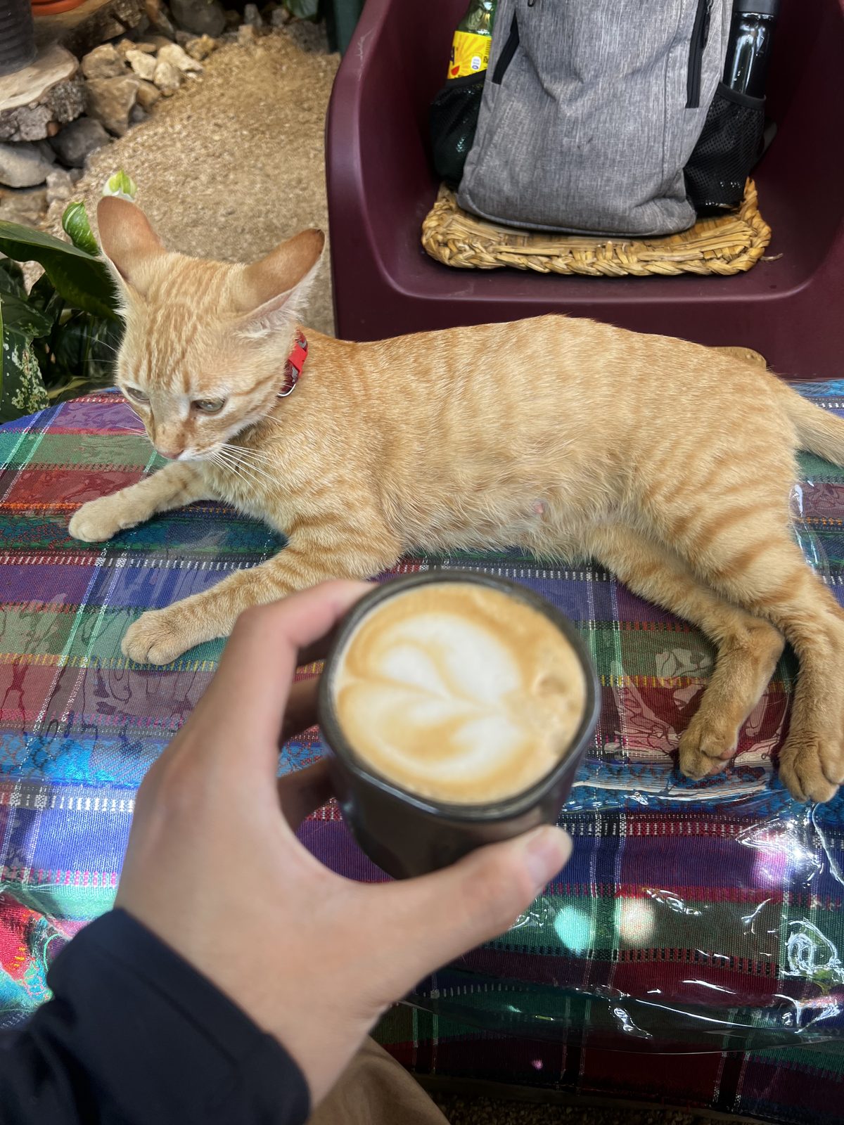 Small moments photo 18
