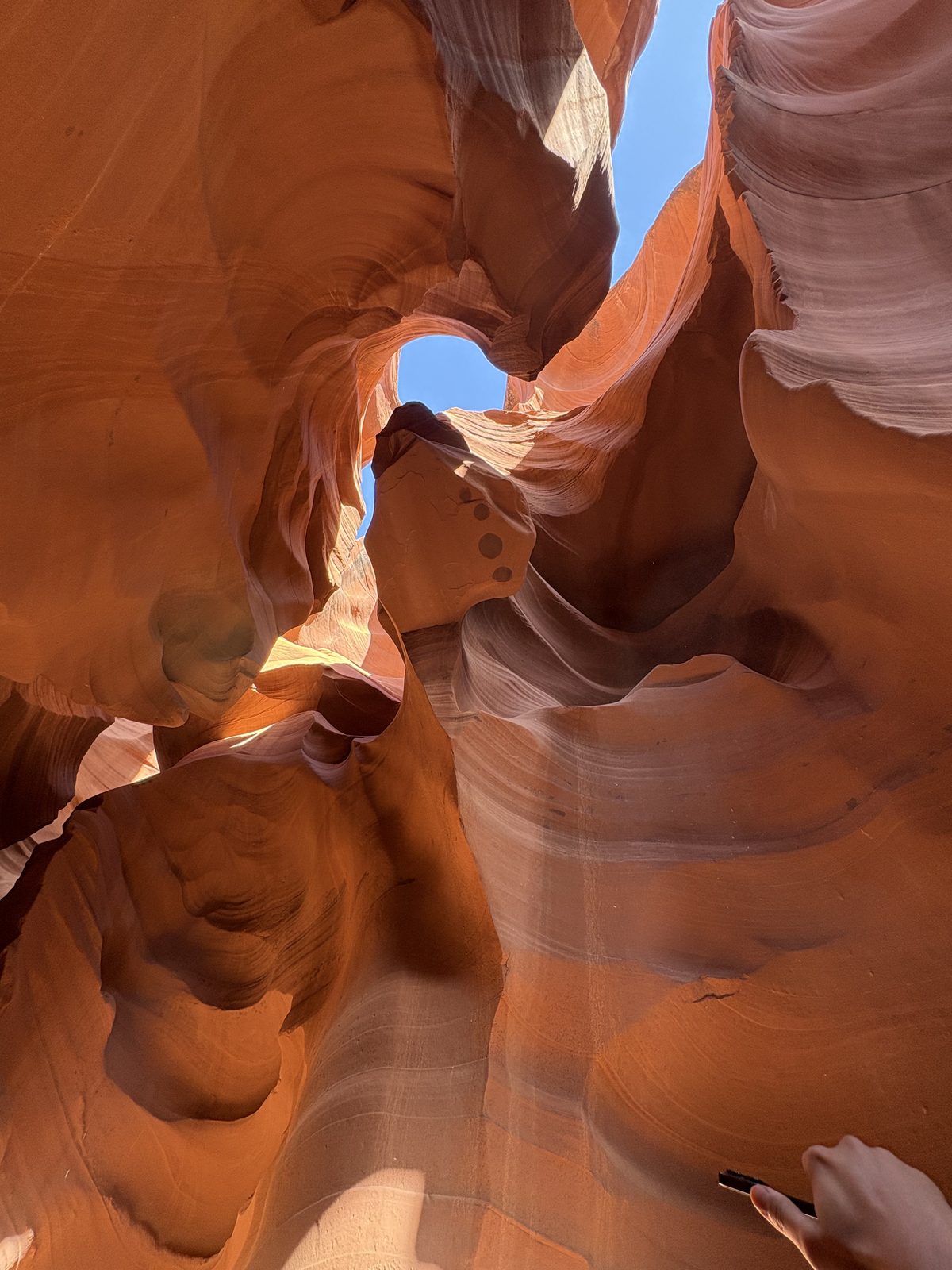 Zion & Grand Canyon photo 10