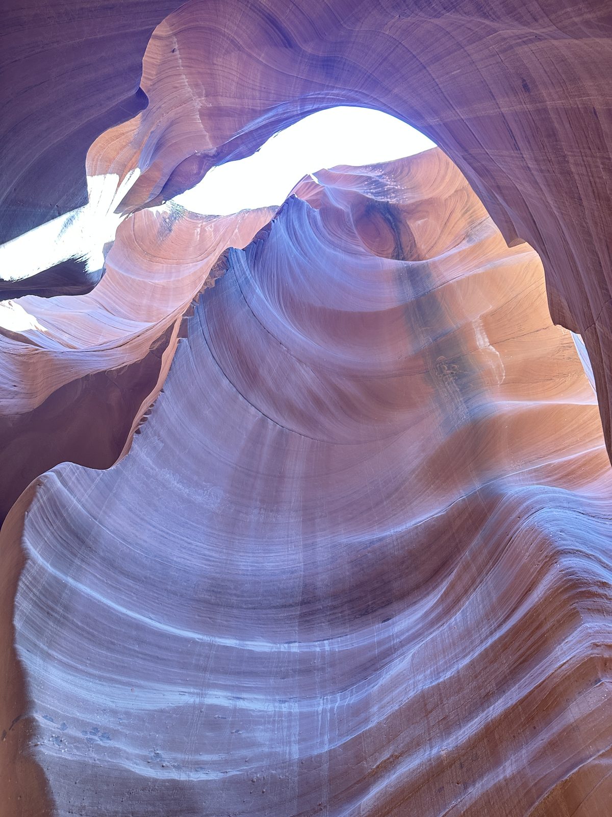 Zion & Grand Canyon photo 13