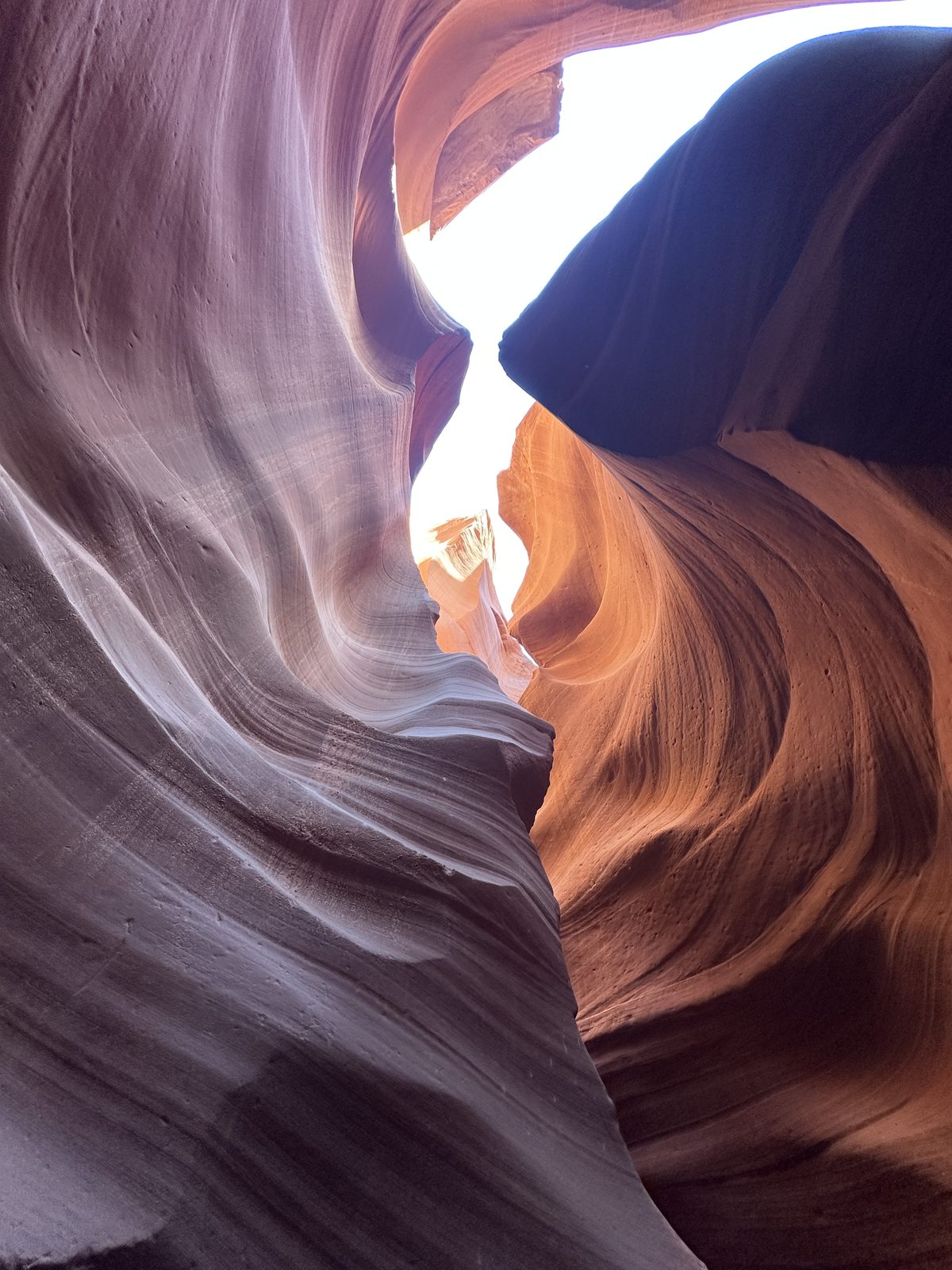 Zion & Grand Canyon photo 14