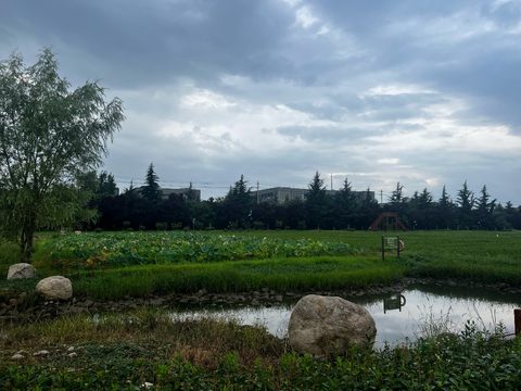 Back Home — China preview